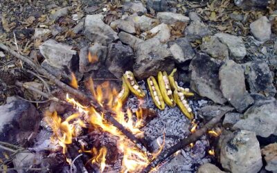 Banane au chocolat trappeur