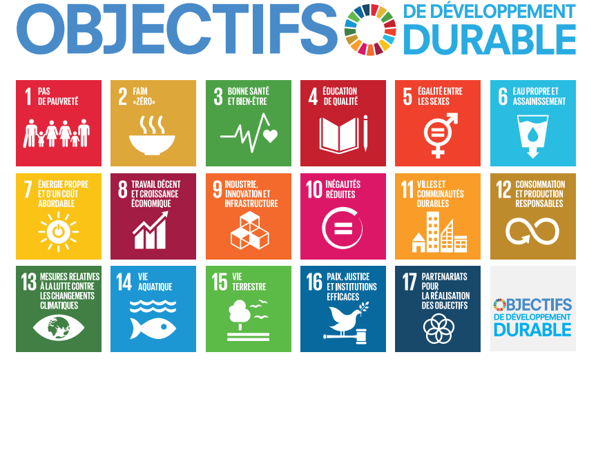 Jeux les objectifs du développement durable